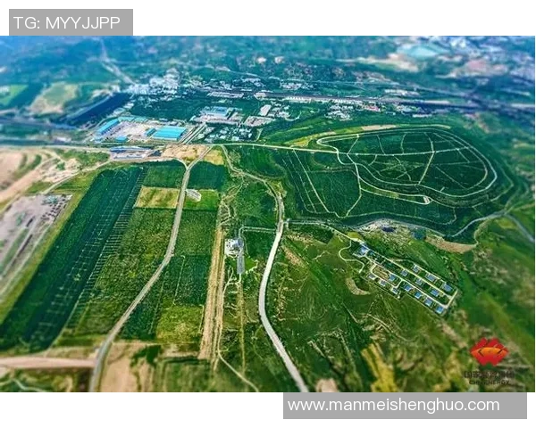 雄鹿栖息地保护与生态平衡研究：从生态环境到物种多样性的综合探讨