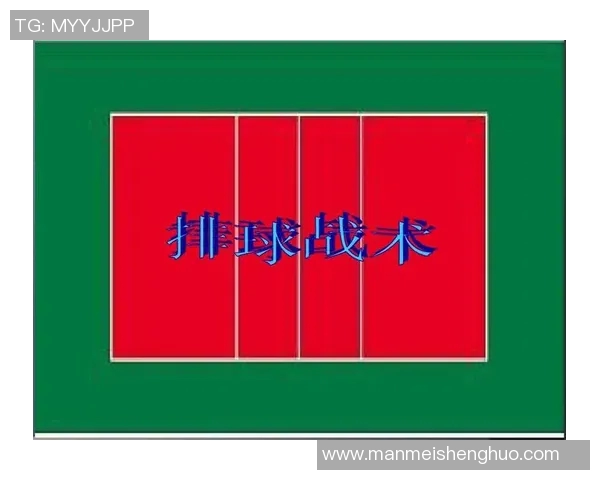 广州排球队反击战术深度解析与实战应用探讨