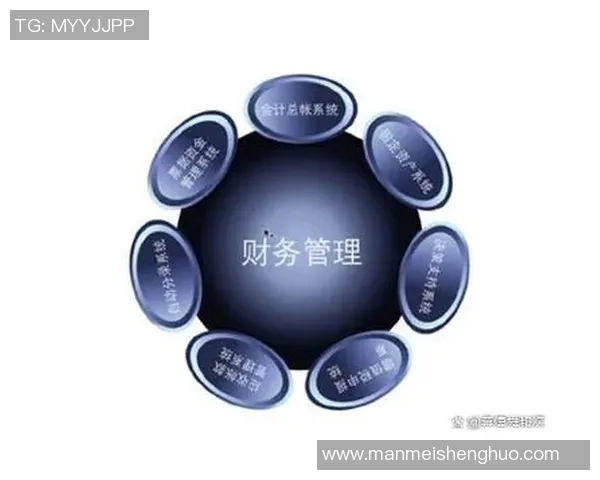 以会计信息化为核心推动企业财务管理创新与效率提升的研究与实践