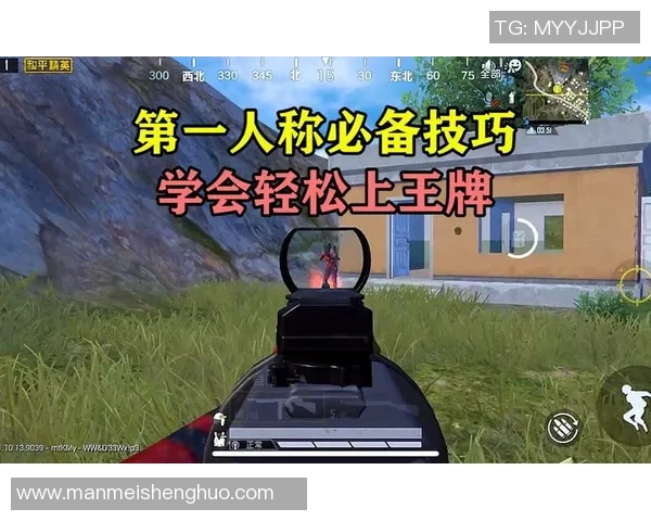 和平精英战术解析TES战队防反体系的成功之道与实战应用